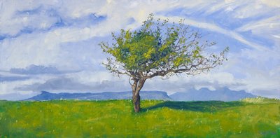 Arbre de la côte ouest, 2015 (huile sur toile) - Charles Simpson