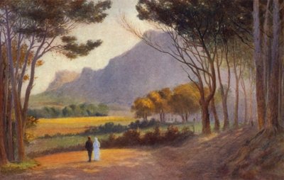 Péninsule du Cap, Afrique du Sud : Alphen - Charles Stephen Meacham