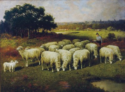 Un berger avec ses moutons dans le champ, 1898 - Charles T. Phelan