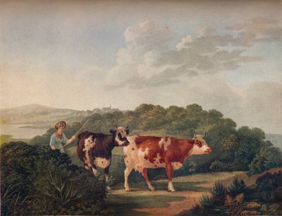 Paysage anglais, avec bovins Shorthorn, fin 18e-début 19e siècle, 1930 - Charles Towne