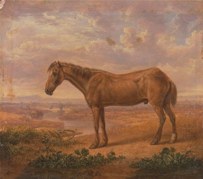 Old Billy, un cheval de trait, âgé de 62 ans - Charles Towne