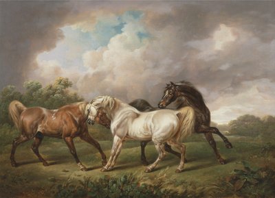 Trois chevaux dans un paysage orageux - Charles Towne