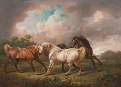 Trois chevaux dans un paysage orageux - Charles Towne