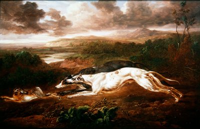 Deux lévriers chassant un lièvre - Charles Towne