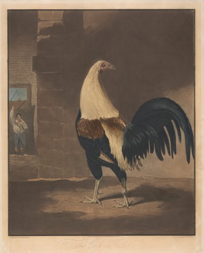 Combats de coqs [une paire] :   1. Le coq en plumes - Charles Turner
