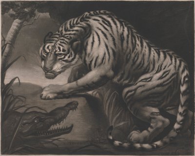 Tigre et crocodile - Charles Turner