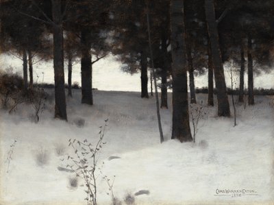 Bois en hiver - Charles Warren Eaton