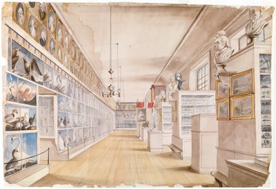 La Grande Salle, Intérieur de la Salle de Devant au Musée Peale, 1822 - Charles Willson Peale