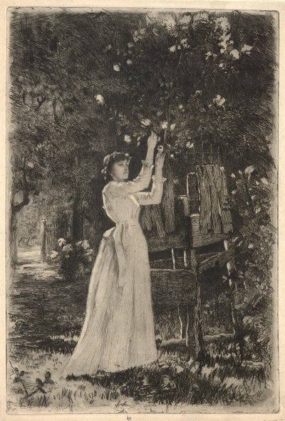Une jeune femme cueillant des fleurs d