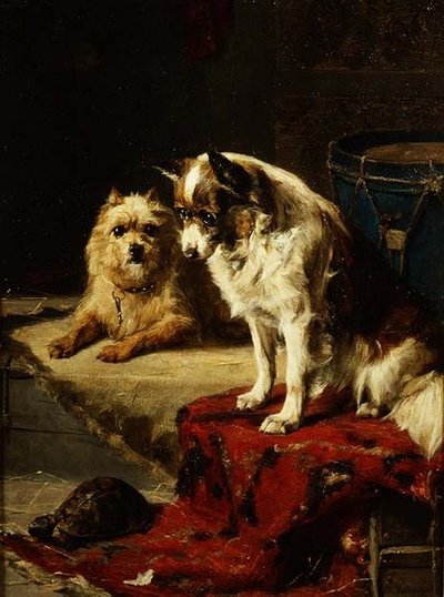 Chiens et une tortue - Charles van den Eycken