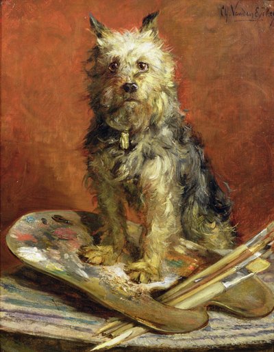 Le chien de l