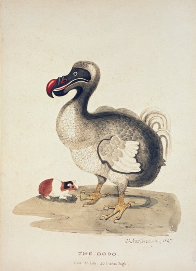 Étude d