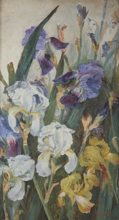 Iris, 1882 - Charlotte Hodder