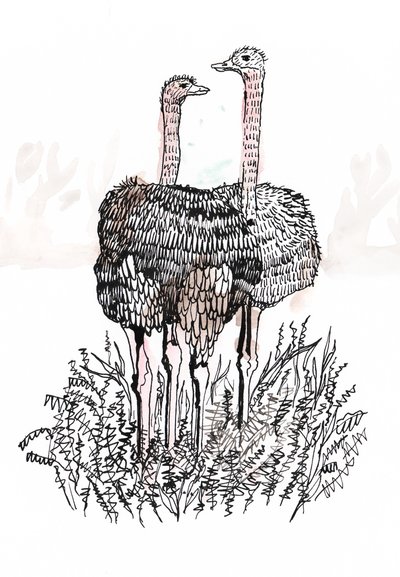 Flamants roses, 2018 - Charlotte Orr