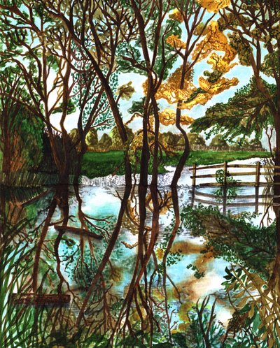 Inondation sur les Champs de St Mary - Charlotte Orr