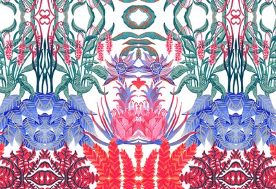 Jungle Jim, 2015 - Charlotte Orr