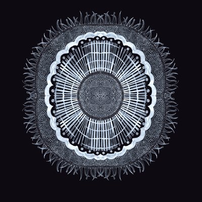 Cellule Végétale 0.2 - Charlotte Orr