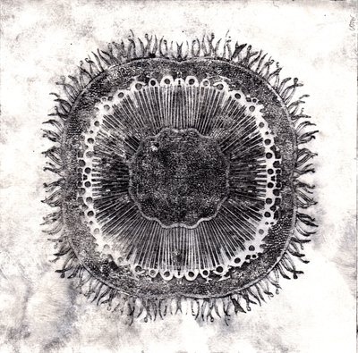 Cellules végétales, 2019 - Charlotte Orr