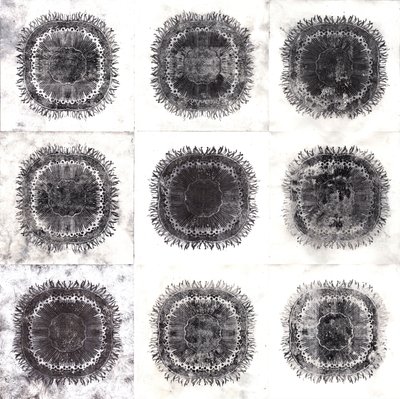Cellules végétales, 2019 - Charlotte Orr