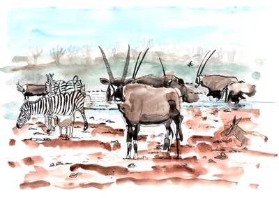 Safari, 2018 - Charlotte Orr