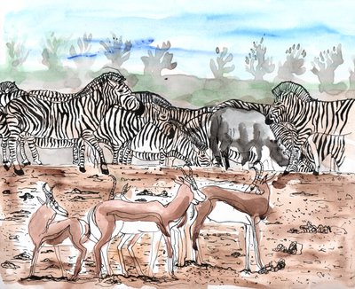 Safari 3 - Charlotte Orr