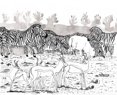 Safari 3, 2018 - Charlotte Orr