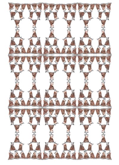 Conception d