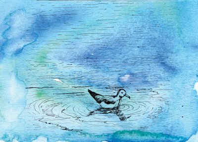 Le conte de la mouette, 2020 - Charlotte Orr