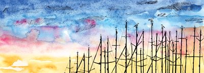 Le conte de la mouette - Charlotte Orr