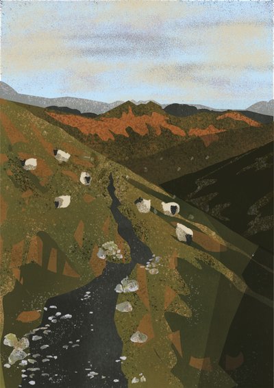 Des moutons sur un sentier de montagne - Charlotte Trudgett