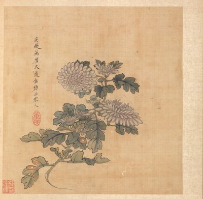 Chrysanthème - Chen Hongshou