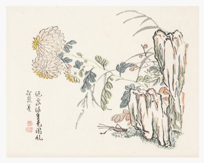 Chrysanthème, Le Jardin des graines de moutarde - Cheng An (after)