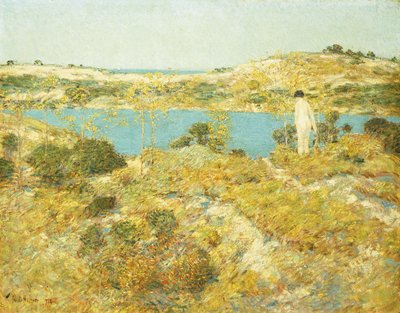 Piscine de dune - Childe Frederick Hassam