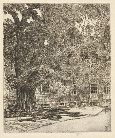 Orme géant, 1929 - Childe Hassam