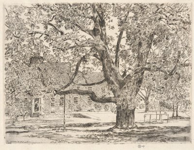 Le grand marronnier, Easthampton - Childe Hassam