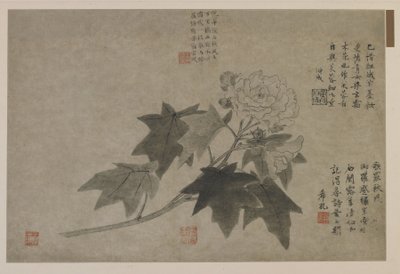 Branche de pivoine arbustive, possiblement dynastie Qing - Chinese School