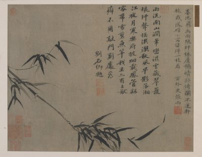 Branche de bambou, possiblement dynastie Qing - Chinese School
