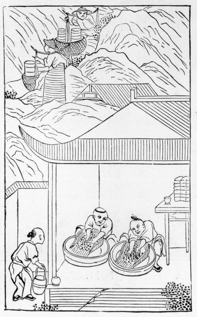 Collecte et lavage de l