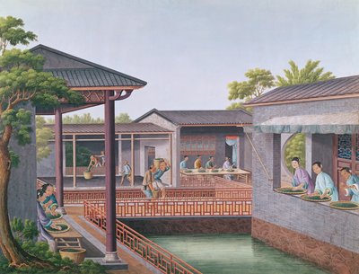 Tri du thé - Chinese School