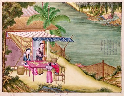 Ms 202 f.6 Tri des cocons, d