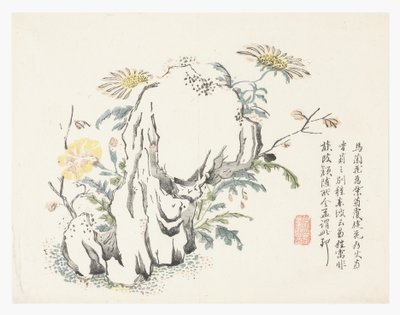 Jardin de graines de moutarde - Chinese School