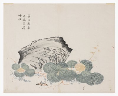 Jardin de graines de moutarde - Chinese School