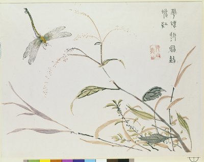 Jardin de graines de moutarde - Chinese School