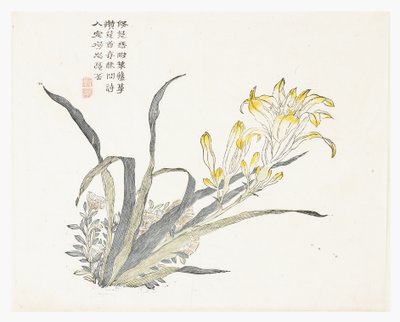 Jardin de graines de moutarde - Chinese School