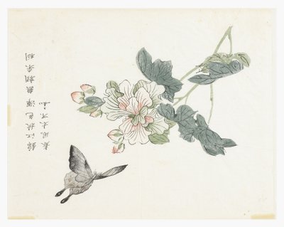 Jardin de graines de moutarde - Chinese School