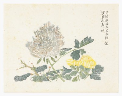 Jardin de graines de moutarde - Chinese School