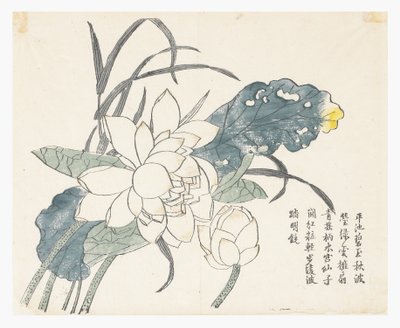 Jardin de la graine de moutarde - Chinese School