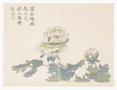 Jardin de la graine de moutarde - Chinese School