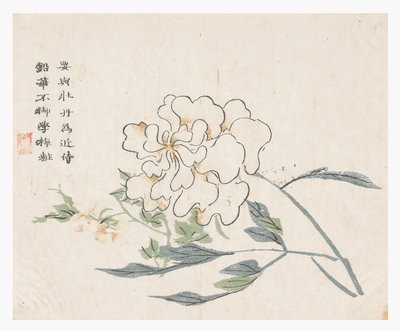 Jardin de la graine de moutarde - Chinese School