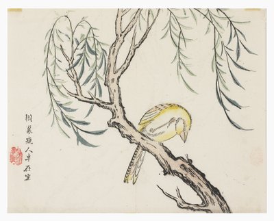 Jardin de graines de moutarde - Chinese School